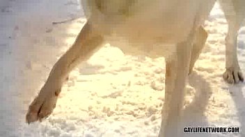 Preview 1 of 1 Feet Link - Fooling Around on a Winter Day