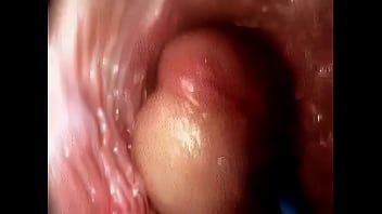 Preview 3 of Www Xxx Barzail Com - Sex guide  See a Penis inside the Vagina