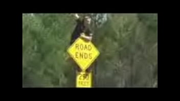 Preview 1 of Boobb Bikini Girl - Crazy Bike Stunts mpeg4 001