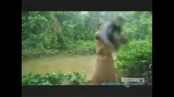 Preview 2 of Extreme Blowjob Eva Angelina - BearGayGrylls