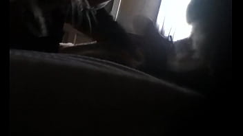 Preview 2 of Toilet Lips Red - hard blowjob