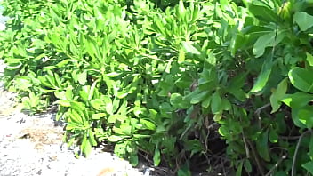 Preview 4 of Mom And Son Film Xxxcom - honeymoon blowjob on the beach