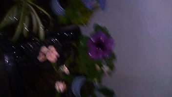 Preview 4 of Rus Land - Es normal sentir la necesidad de regar mis plantas sin importar la hora? O de plano estoy viejo