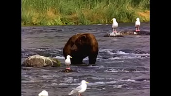 Preview 2 of Grannes Porn Tumbex Com - Bear