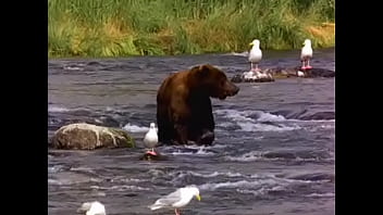 Preview 3 of Grannes Porn Tumbex Com - Bear