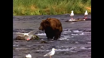 Preview 4 of Grannes Porn Tumbex Com - Bear