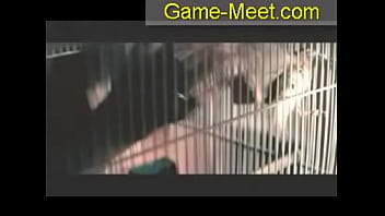 Preview 2 of Man And Animyl - Fuck Sex Tape Hidden Cam