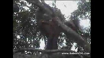 Preview 3 of Sexsual Homo - real african amateur fuck on the tree