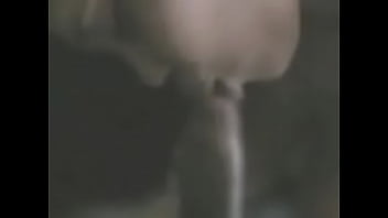 Preview 4 of Telugu Aunties Sexy Figures - college girl blow boyfriend