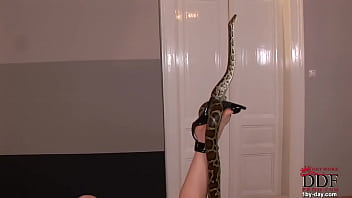 Preview 4 of Japan Lovestoory - Hot-blooded babe playing with snake