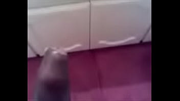 Preview 2 of Cap D Agde Strangers - big black dick