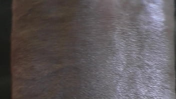 Preview 2 of Hard Fuck Pussy Xxx Video - TORONTO THICKEST BLACK COCK