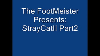 Preview 1 of Barebackstudios Porn - Stray Cat