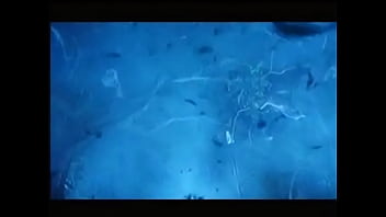 Preview 1 of Animal With Gral Xxx Video - Crouching Tiger,  Hidden Dragon