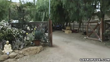 Preview 1 of Hoash Sekxe - Admiting stepbrother is gay and you have no other choice but to accept