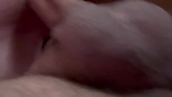 Preview 4 of Prom Xi Br Ast - home sex