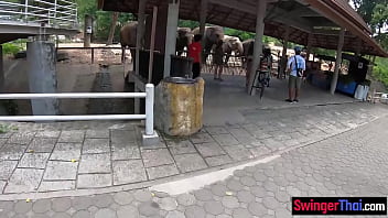 Preview 2 of Kiku Komar - Big ass Thai girlfriend went to see animals and made a homemade sex video after