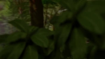 Preview 1 of Big Bitty Bangladeshi Baby - Tomb Hunter - 3D Futanari Animation by JT2XTREME