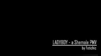 Preview 1 of Gay Black Chocolate Niggas Raw - Ladyboy