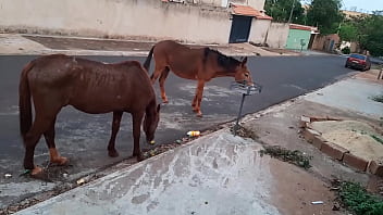 Preview 1 of Real Sex In Cinema - casada caipira pequena   gostosa foi no s&iacute_tio do de cavalo panhar  fez putaria e deu o cu  pro jubileu