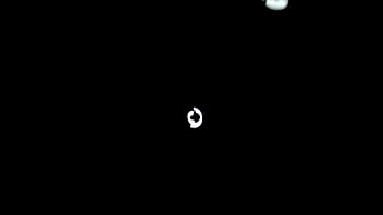 Preview 2 of Brachycera Publicc - xvideos