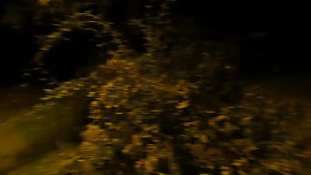 Preview 1 of Cum By Gay Boys - Masturbating at night in public park - Wertert009