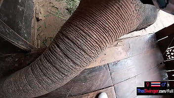 Preview 3 of Bodor - Elephant riding in Thailand with teen couple who had sex afterwards