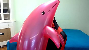 Preview 1 of Indon Romen - Golfinho rosa comendo homem e jogando Fortnite