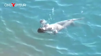 Preview 2 of Pick Mam - Beach Voyeur. Hot babe with big natural tits gives head on a public beach