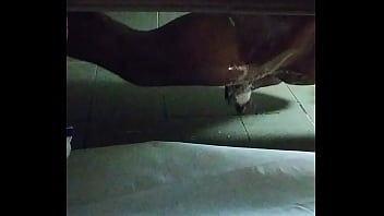 Preview 3 of Mom Love Sloly - Shower time