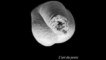 Preview 4 of Xhinese Babes - L&#039_art du penis