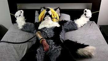 Preview 4 of Keerthi Suresh Xxx Nude Video - Fursuit wolf bound milking