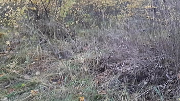 Preview 1 of Busty Yoga Class - Accidentally filmed real lesbian sex in the forest - Lesbian Illusion Girls