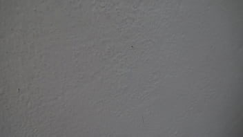 Preview 4 of Catjerkoff - I caught my 18 year old stepson masturbating on my dirty panties !!!