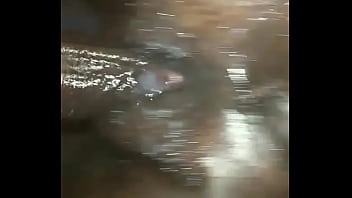 Preview 2 of Seachbbw Anal Man - Fuck his babymama early morning,  she loves it