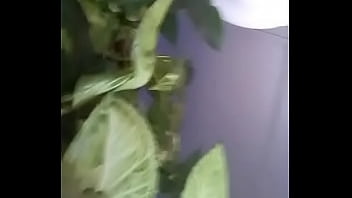 Preview 3 of Tutto Dentro Cock - cola en el banco
