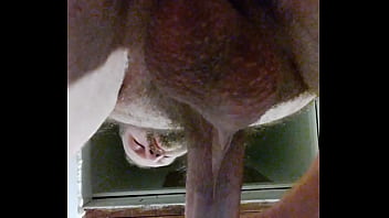 Preview 2 of Findfree Sex Movies To - WATCH ME NUT FROM A VIEW OF MY NUTS