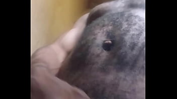 Preview 3 of 12yrs Old Girl Sex Vedio - Enjoying myself in the local bathroom