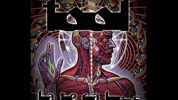 Preview 3 of Muslims Girls Hindu Boy - Tool - Lateralus (Full Album)