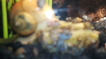 Preview 1 of Seachbivsa Devojka - Penis pump