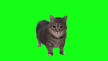 Preview 1 of Nasty Cumms - cat