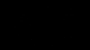 Preview 3 of T Jan Burton - test in dark