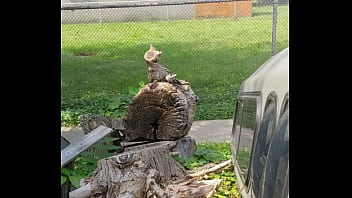 Preview 1 of Mom And Teenest Son - I peed in my backyard