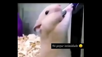 Preview 4 of Noi It Thoi - Usando o egg
