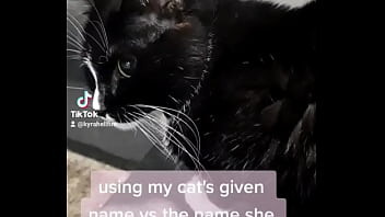 Preview 2 of Tube Videos Paki On Big Tube - using my cats given name vs the name she chose for herself?