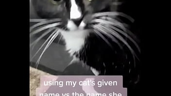 Preview 3 of Tube Videos Paki On Big Tube - using my cats given name vs the name she chose for herself?