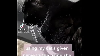 Preview 1 of Tube Videos Paki On Big Tube - using my cats given name vs the name she chose for herself?