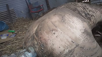 Preview 2 of Gaping 23 - dirty farmboy