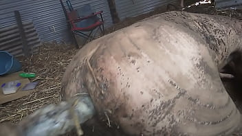 Preview 3 of Gaping 23 - dirty farmboy