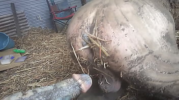 Preview 1 of Gaping 23 - dirty farmboy